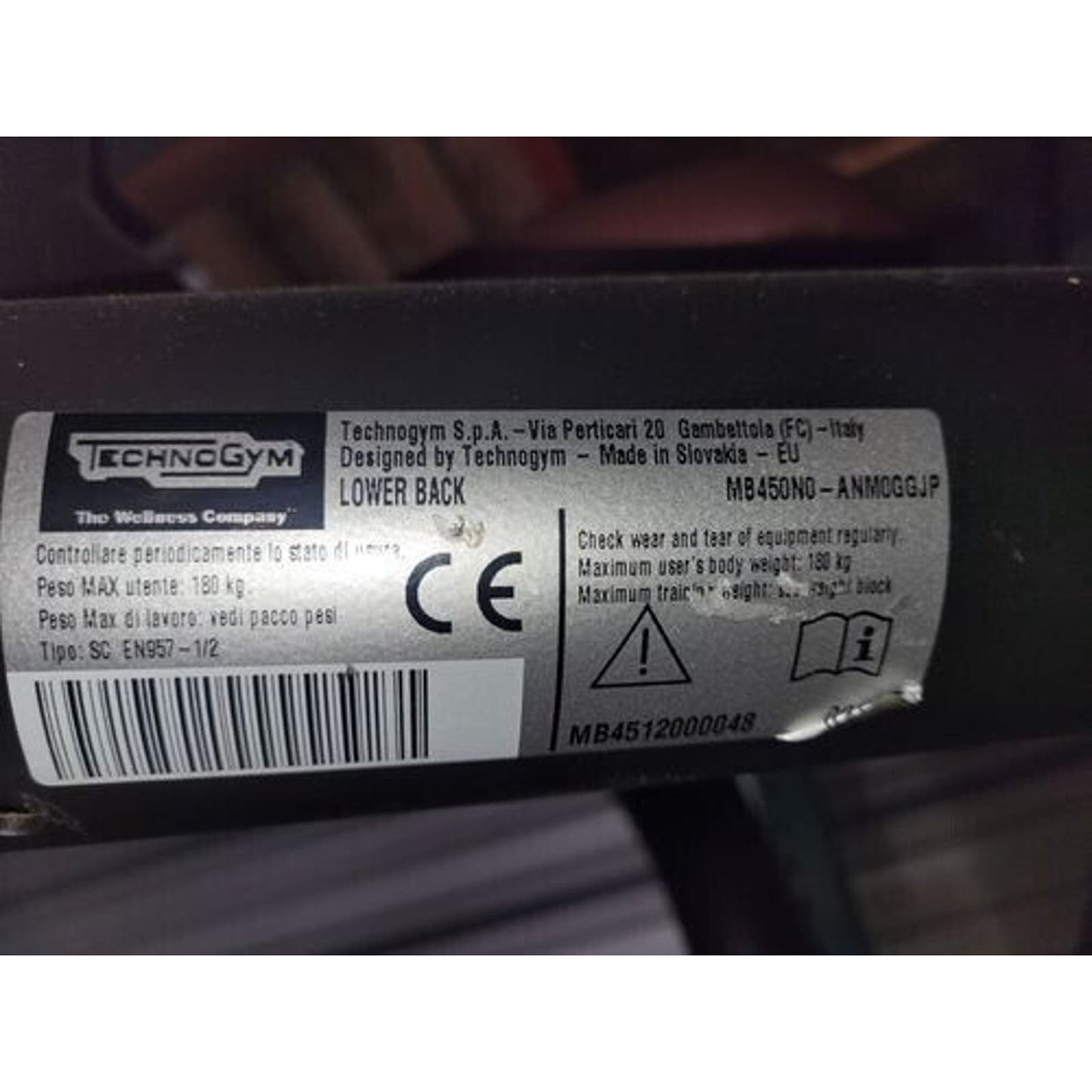 Technogym Element Lower Back Exercise Machine