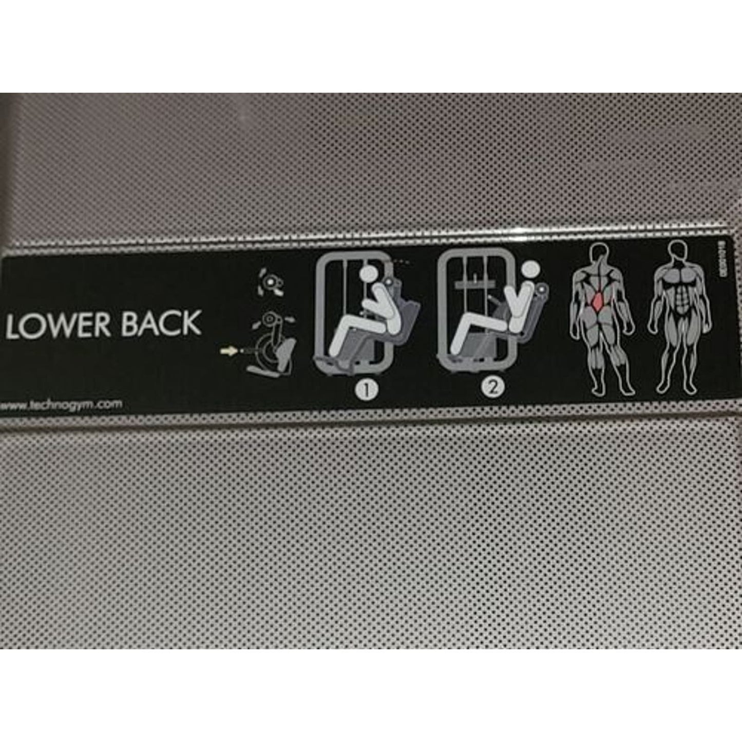 Technogym Element Lower Back Exercise Machine