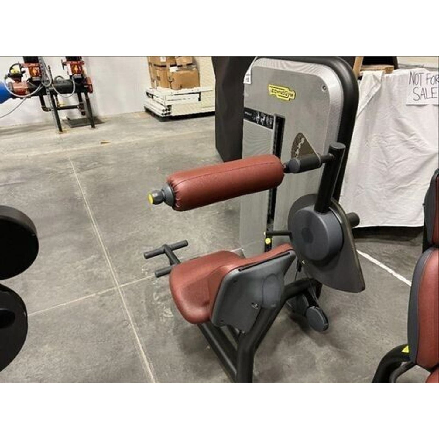 Technogym Element Lower Back Exercise Machine