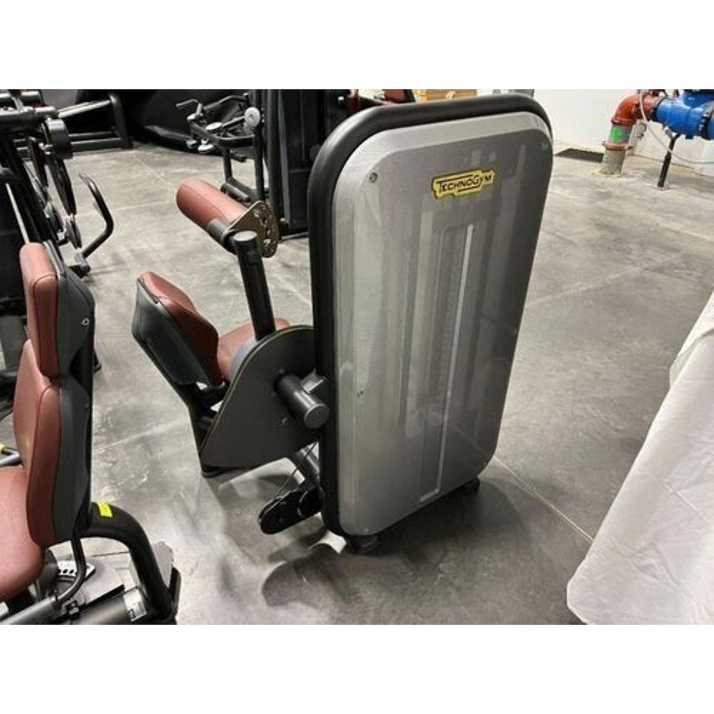 Technogym Element Lower Back Exercise Machine