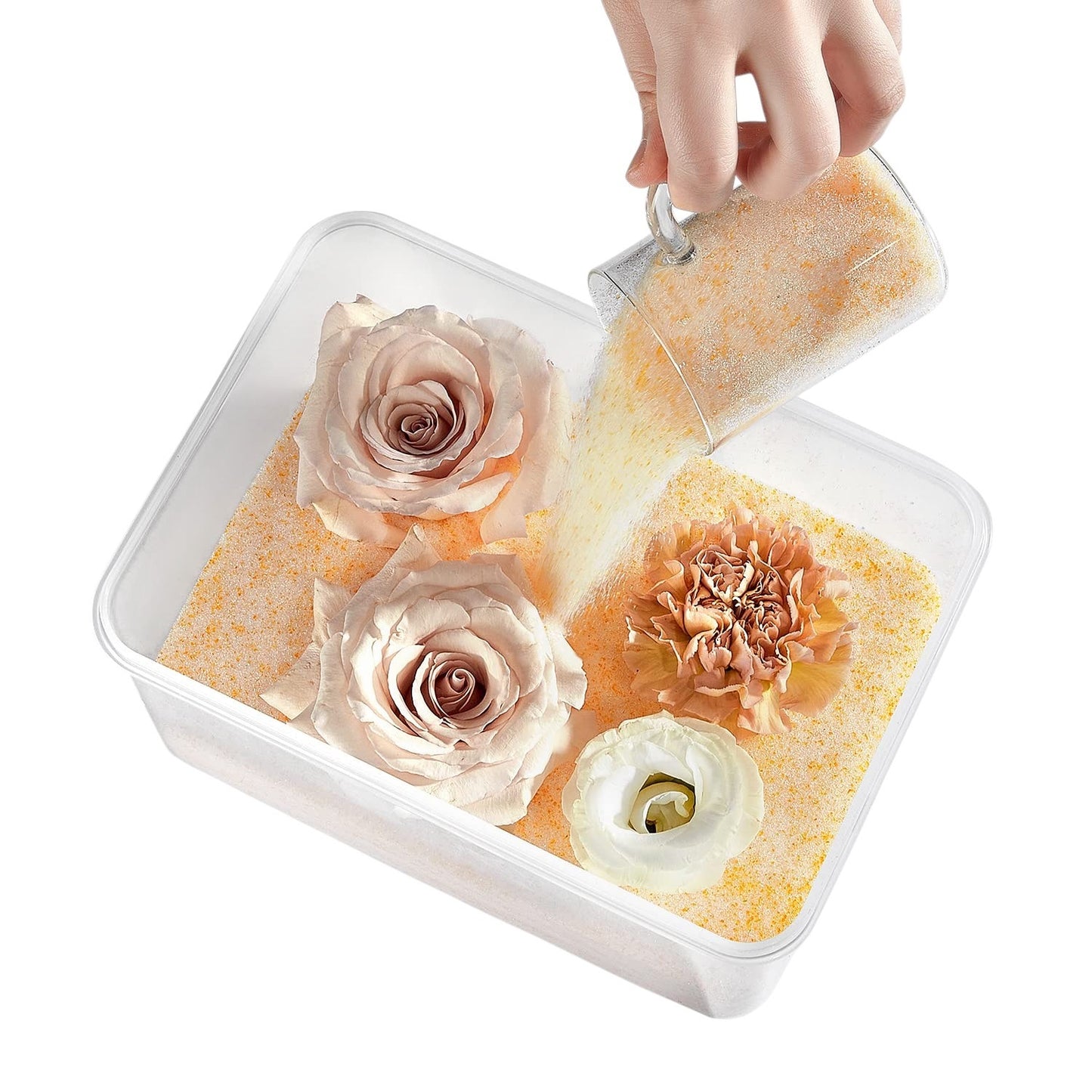 Silica Gel Flower Drying Crystals Desiccant with Sealed Container and Brush by Zcinby