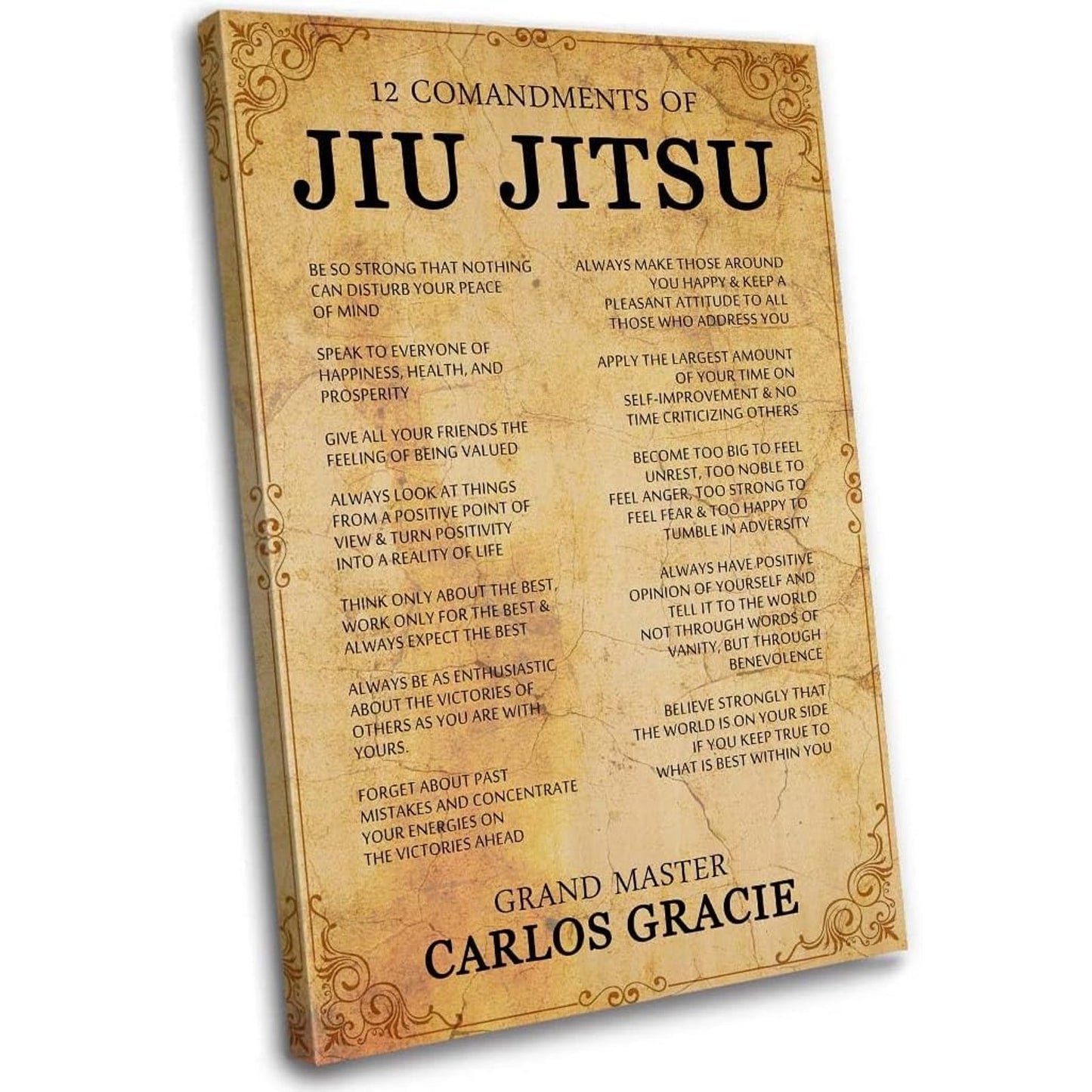 16x24in 12 Commandments BJJ Wall Art | Brazillian Jiu Jitsu