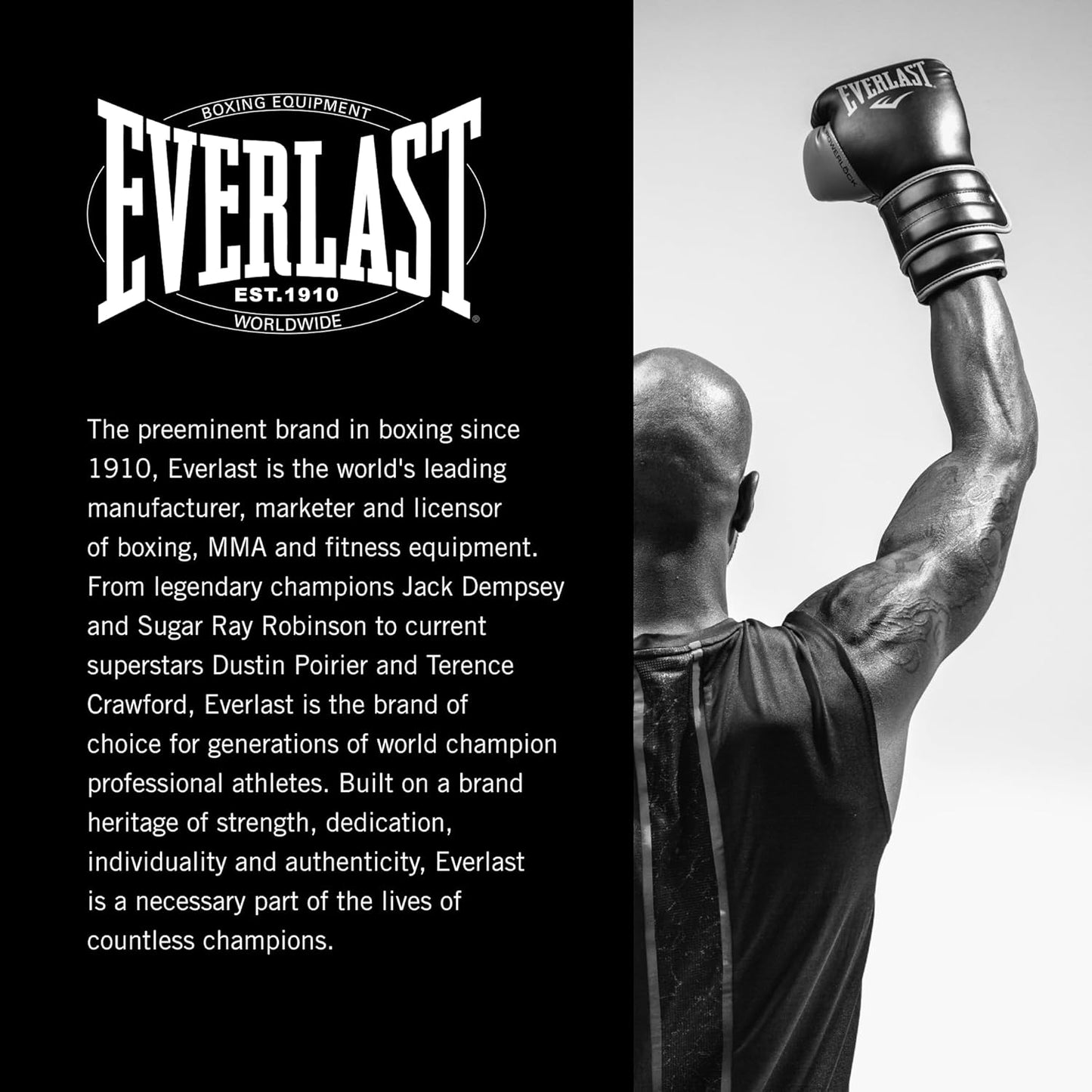 Everlast Professional Speed Bag Cotter Pin Swivel, Silver