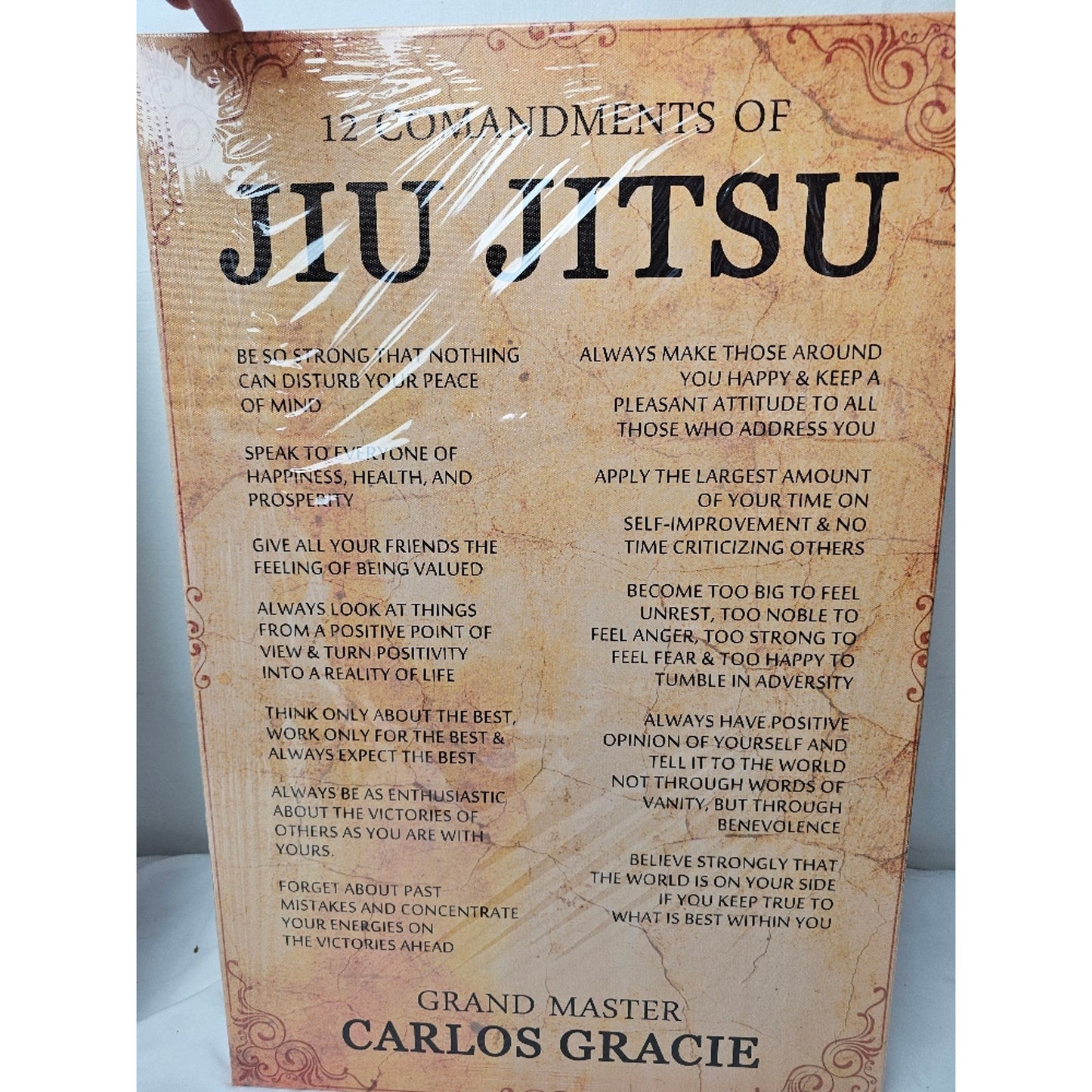 16x24in 12 Commandments BJJ Wall Art | Brazillian Jiu Jitsu