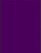 BluBandoo Evaporative Cooling Bandana Neck Wrap - Purple, One Size