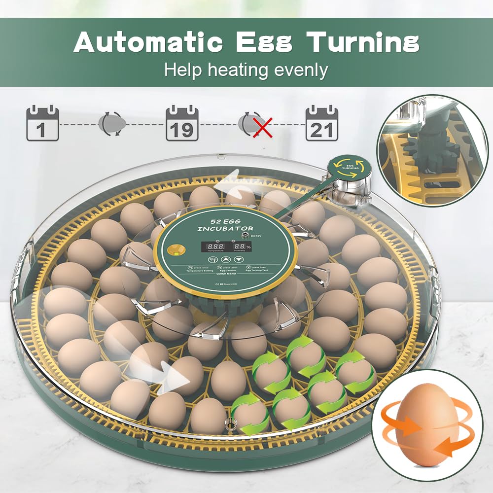 Advwin 52-Egg Digital Incubator with Automatic Egg Turner and Temperature Control